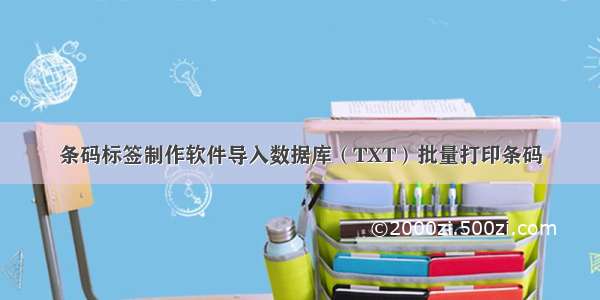 条码标签制作软件导入数据库（TXT）批量打印条码