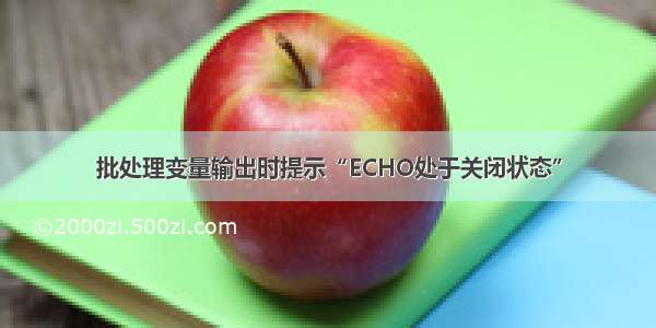 批处理变量输出时提示“ECHO处于关闭状态”