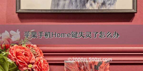 苹果手机Home键失灵了怎么办