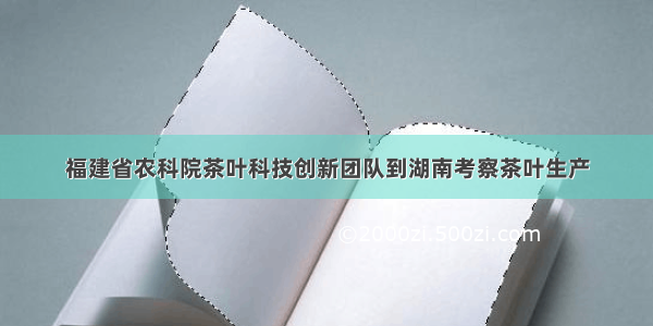 福建省农科院茶叶科技创新团队到湖南考察茶叶生产