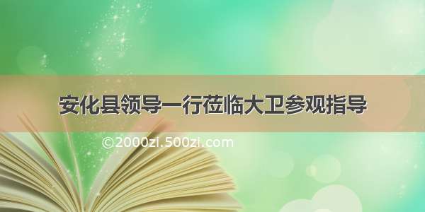 安化县领导一行莅临大卫参观指导