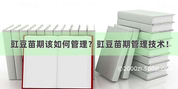 豇豆苗期该如何管理？豇豆苗期管理技术！