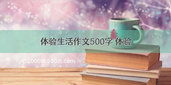 体验生活作文500字 体验