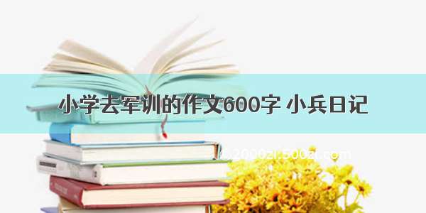 小学去军训的作文600字 小兵日记