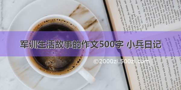 军训生活故事的作文500字 小兵日记