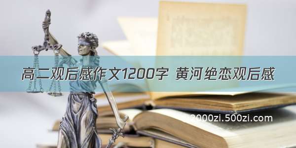 高二观后感作文1200字 黄河绝恋观后感