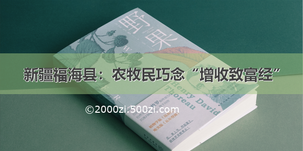 新疆福海县：农牧民巧念“增收致富经”