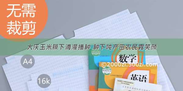 大庆玉米膜下滴灌播种 种下吨产田农民露笑颜