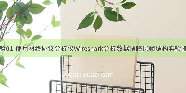 实验01 使用网络协议分析仪Wireshark分析数据链路层帧结构实验报告