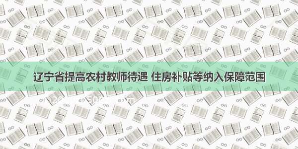 辽宁省提高农村教师待遇 住房补贴等纳入保障范围