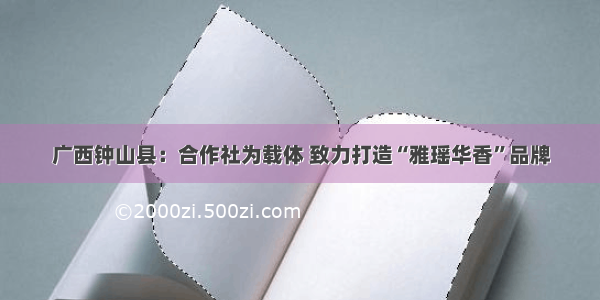 广西钟山县：合作社为载体 致力打造“雅瑶华香”品牌