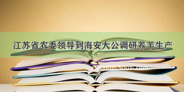 江苏省农委领导到海安大公调研养羊生产