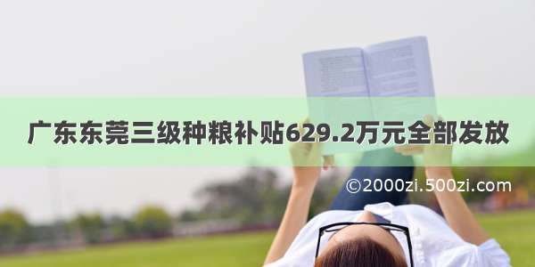 广东东莞三级种粮补贴629.2万元全部发放