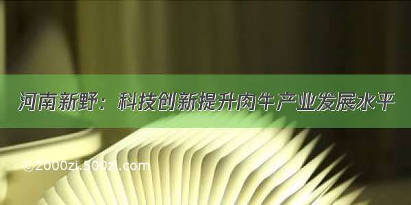 河南新野：科技创新提升肉牛产业发展水平