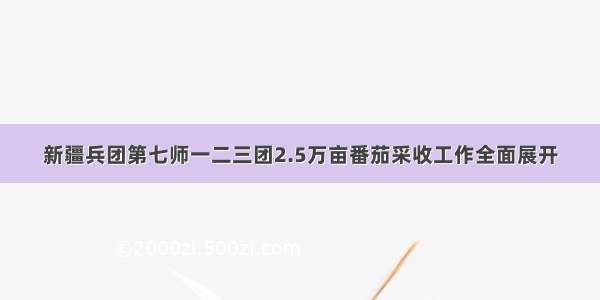 新疆兵团第七师一二三团2.5万亩番茄采收工作全面展开