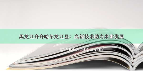 黑龙江齐齐哈尔龙江县：高新技术助力米业发展