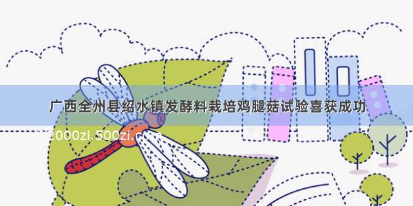广西全州县绍水镇发酵料栽培鸡腿菇试验喜获成功