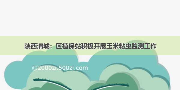 陕西渭城：区植保站积极开展玉米粘虫监测工作