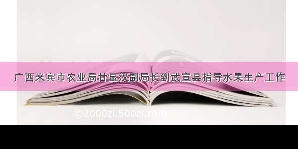 广西来宾市农业局甘显汉副局长到武宣县指导水果生产工作