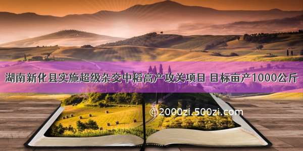 湖南新化县实施超级杂交中稻高产攻关项目 目标亩产1000公斤