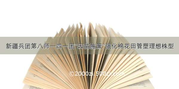 新疆兵团第八师一四一团“因苗施策”强化棉花田管塑理想株型