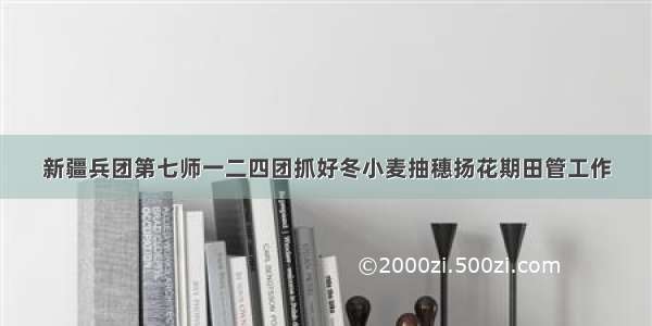 新疆兵团第七师一二四团抓好冬小麦抽穗扬花期田管工作