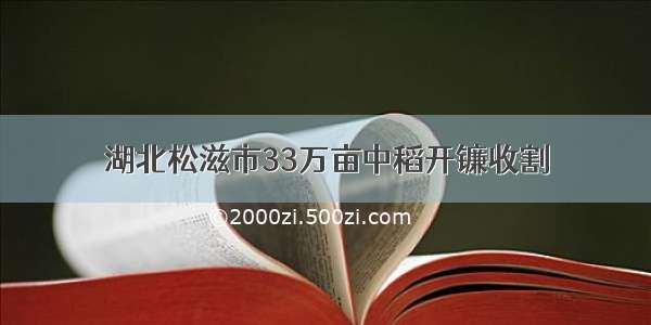 湖北松滋市33万亩中稻开镰收割