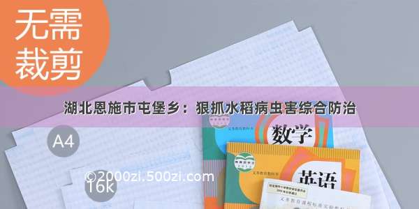 湖北恩施市屯堡乡：狠抓水稻病虫害综合防治