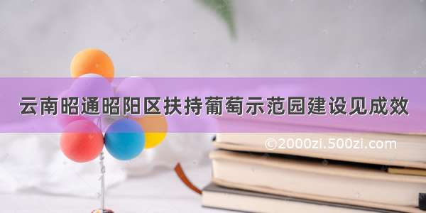 云南昭通昭阳区扶持葡萄示范园建设见成效