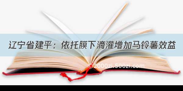 辽宁省建平：依托膜下滴灌增加马铃薯效益