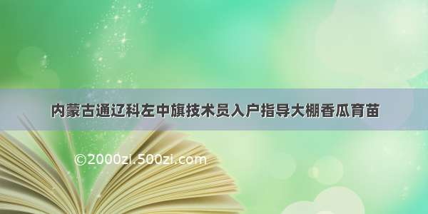 内蒙古通辽科左中旗技术员入户指导大棚香瓜育苗