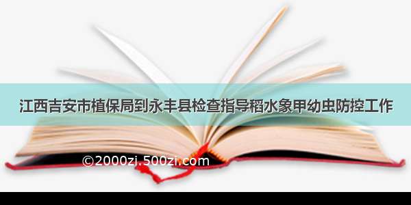 江西吉安市植保局到永丰县检查指导稻水象甲幼虫防控工作