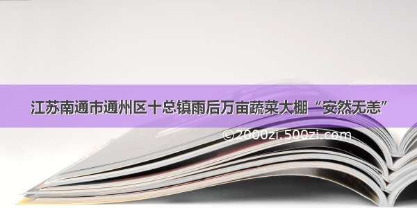 江苏南通市通州区十总镇雨后万亩蔬菜大棚“安然无恙”