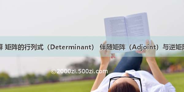 C# 数值计算 矩阵的行列式（Determinant） 伴随矩阵（Adjoint）与逆矩阵（Inverse