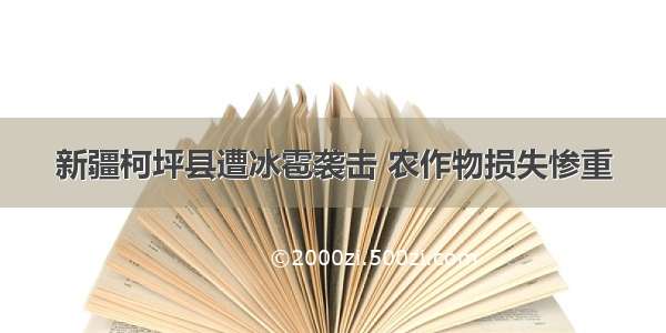 新疆柯坪县遭冰雹袭击 农作物损失惨重