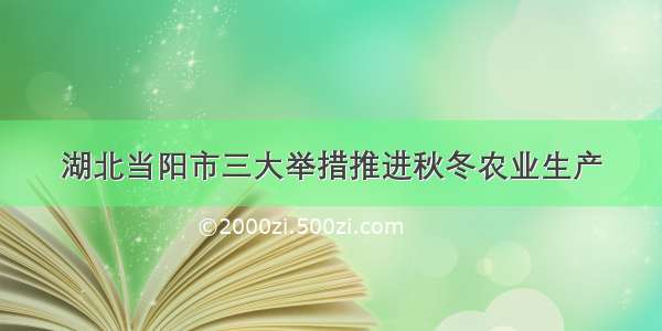 湖北当阳市三大举措推进秋冬农业生产