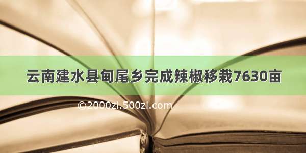 云南建水县甸尾乡完成辣椒移栽7630亩