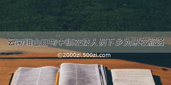 云南峨山县甸中镇农技人员下乡为果农服务