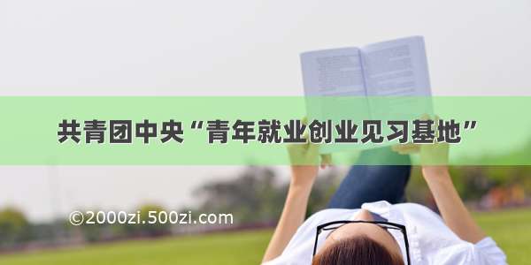 共青团中央“青年就业创业见习基地”