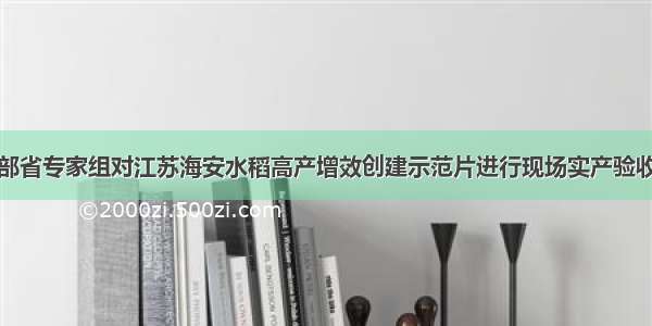 部省专家组对江苏海安水稻高产增效创建示范片进行现场实产验收