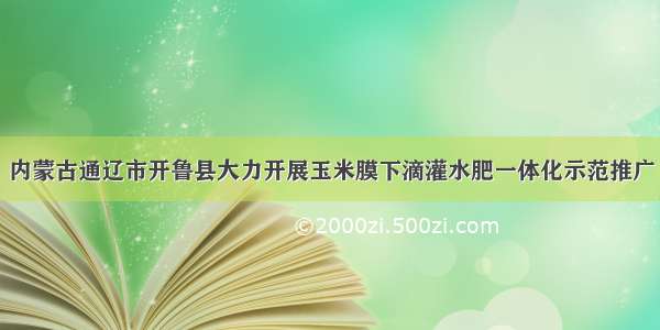 内蒙古通辽市开鲁县大力开展玉米膜下滴灌水肥一体化示范推广