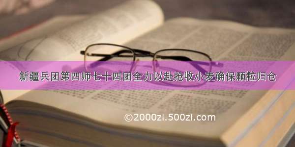 新疆兵团第四师七十四团全力以赴抢收小麦确保颗粒归仓