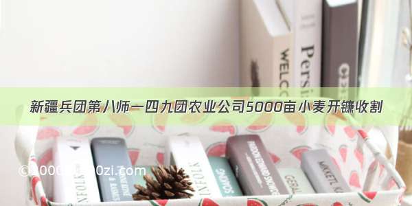 新疆兵团第八师一四九团农业公司5000亩小麦开镰收割