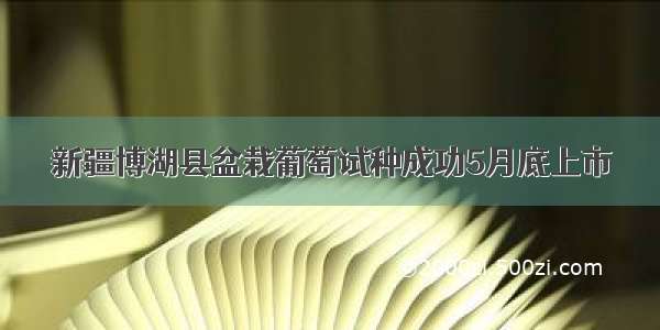 新疆博湖县盆栽葡萄试种成功5月底上市