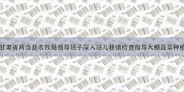 甘肃省两当县农牧局领导班子深入站儿巷镇检查指导大棚蔬菜种植