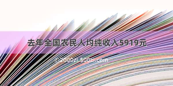 去年全国农民人均纯收入5919元