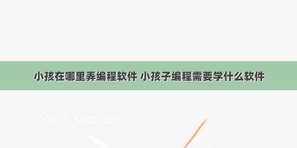 小孩在哪里弄编程软件 小孩子编程需要学什么软件