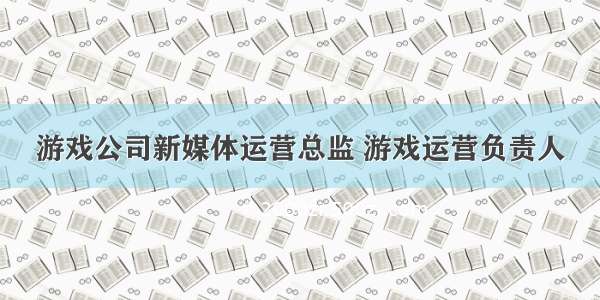 游戏公司新媒体运营总监 游戏运营负责人