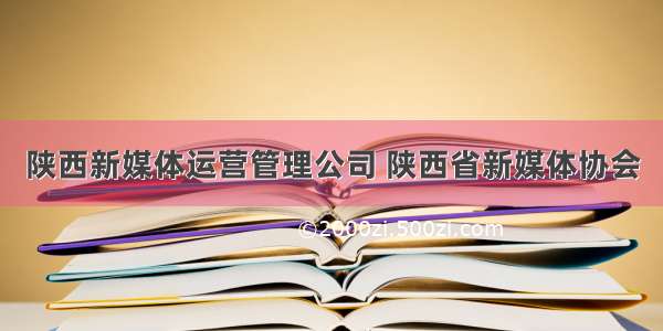 陕西新媒体运营管理公司 陕西省新媒体协会