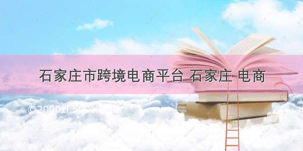 石家庄市跨境电商平台 石家庄 电商